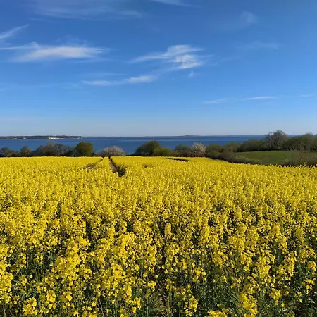 Strandlaeufer * Westerholz